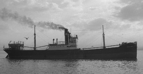 Vicente Suarez por T. Diedrich Vicente Suarez por T. Diedrich